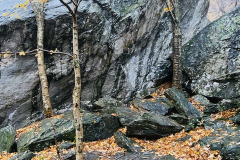 IMG_8444