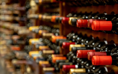 Wine Social Fall 2024